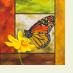 Butterfly41