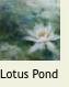 LotusPond1a