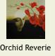 OrchidReverie1