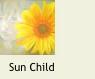 SunflowerChild1a